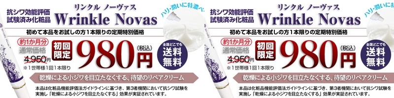 �R�V�����\�]�������ς݃��y�A�N���[���u�����N���m�[���@�X�v���T�C�g